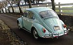 1966 Beetle Thumbnail 18