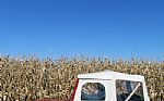 1951 Jeep Thumbnail 52