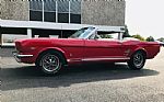 1966 Mustang Thumbnail 12