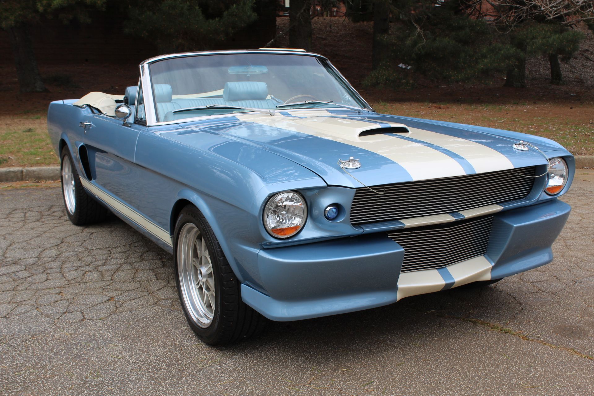 1966 Mustang Shelby Image