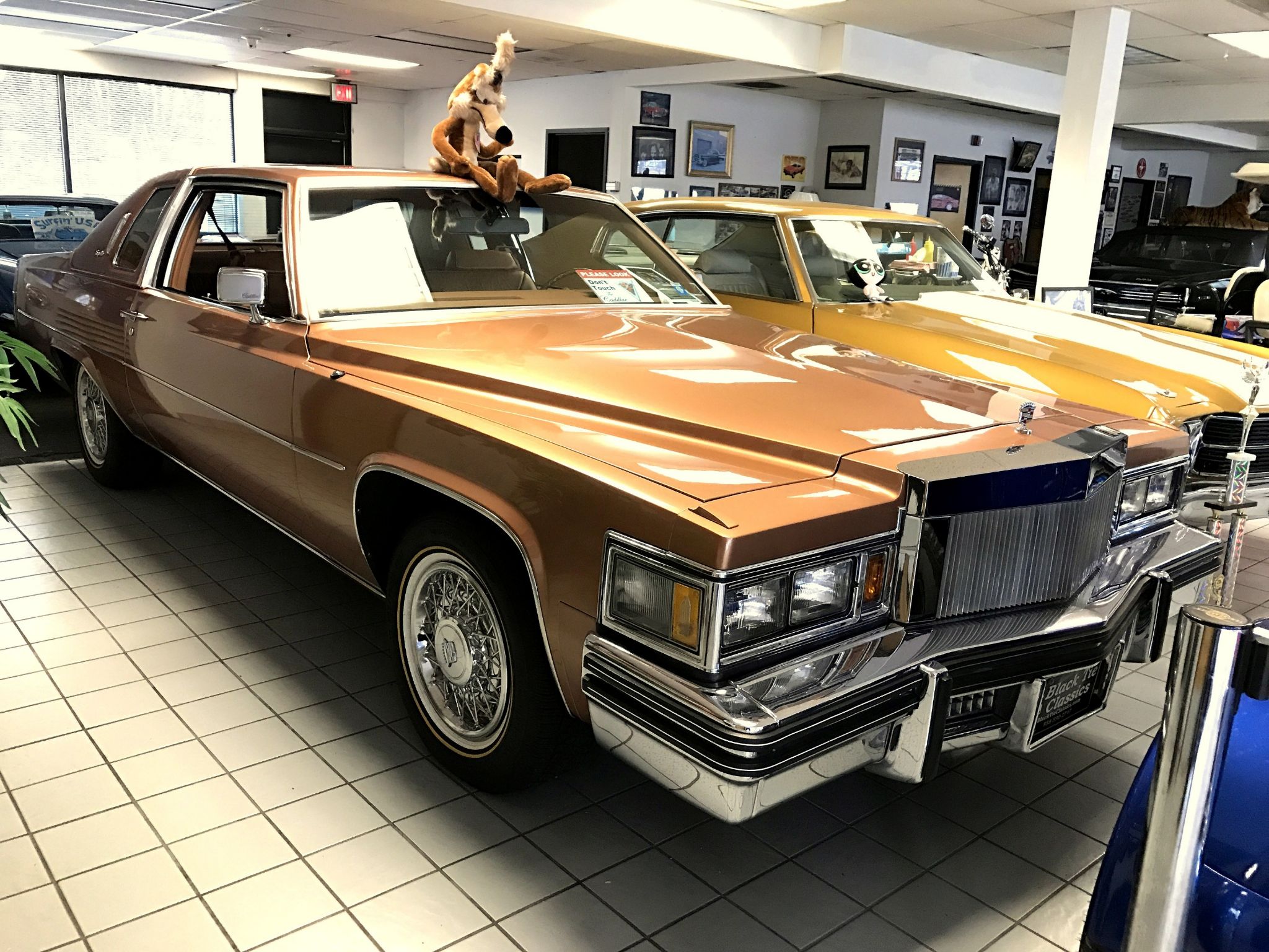1979 Coupdeville Image