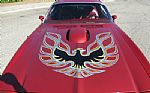 1976 Trans Am Thumbnail 17