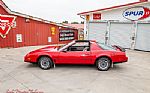 1983 Trans Am Thumbnail 14