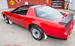 1983 Trans Am Thumbnail 16