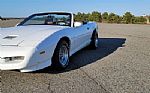 1991 Trans Am Thumbnail 15