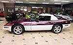 1995 Corvette Pace Car Edition - On Thumbnail 28