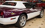 1995 Corvette Pace Car Edition - On Thumbnail 31