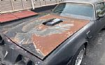 1979 Trans Am Thumbnail 3
