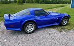 1979 Corvette Thumbnail 9