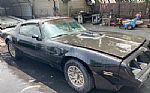 1979 Trans Am Thumbnail 1