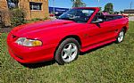 1995 Mustang Thumbnail 1