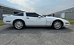 1993 Corvette Thumbnail 10