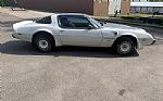 1980 Trans Am Thumbnail 7