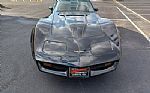 1981 Corvette Stingray Thumbnail 24