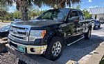 2013 F150 Thumbnail 17