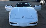 1995 Corvette Thumbnail 4