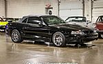 1998 Mustang Cobra SVT Thumbnail 3