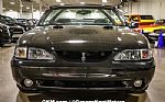 1998 Mustang Cobra SVT Thumbnail 38