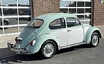 1967 Beetle Thumbnail 3