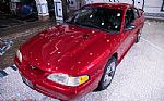 1996 Mustang SVT COBRA Thumbnail 4