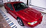 1996 Mustang SVT COBRA Thumbnail 12