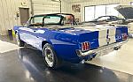 1966 Mustang Shelby Tribute Thumbnail 15