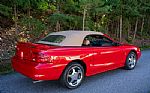 1994 Mustang Cobra Indianapolis Pac Thumbnail 10