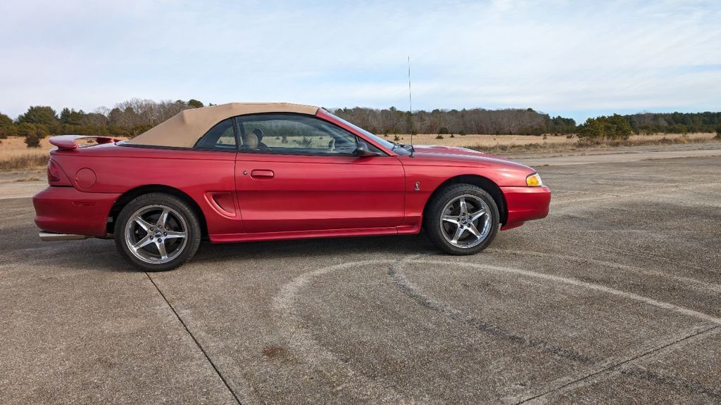 1996 Mustang Image