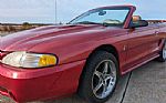 1996 Mustang Thumbnail 26