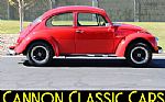 1969 Beetle Thumbnail 2