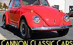 1969 Beetle Thumbnail 9