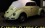 1962 Beetle Thumbnail 10