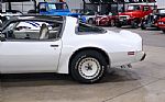 1980 Trans Am Turbo Pace Car Thumbnail 4