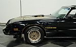 1979 Firebird Trans Am Y84 Special Thumbnail 19