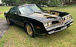 1977 Trans Am Thumbnail 2