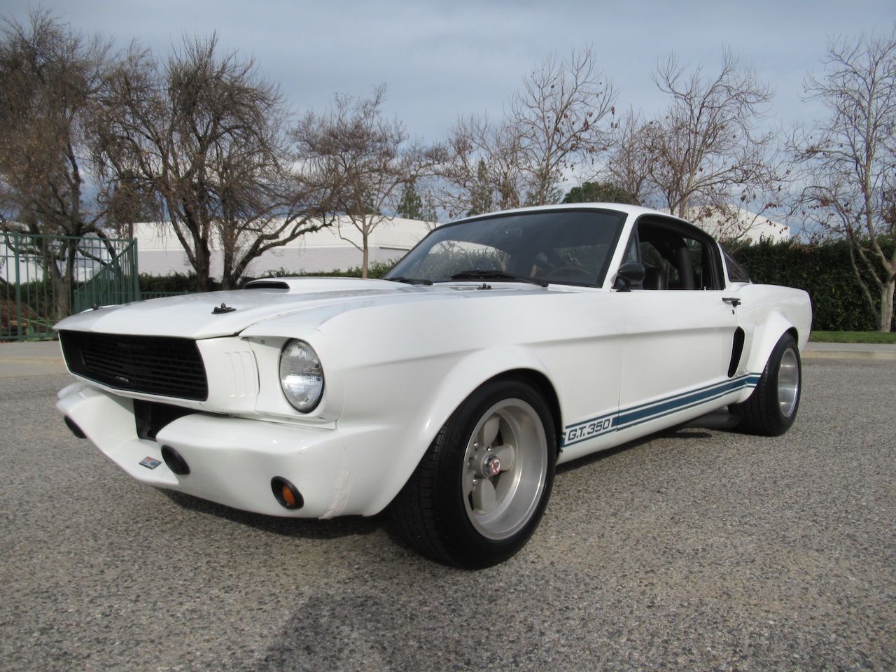 1966 GT350 Image