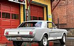 1966 Mustang Thumbnail 3