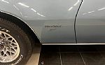 1978 Firebird Thumbnail 17