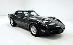 1981 Corvette Coupe Thumbnail 8