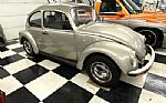 1968 Beetle Thumbnail 1