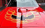 1975 Trans Am Thumbnail 12