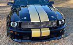 2006 Mustang Shelby GT Hertz Thumbnail 4