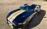 2016 Mustang Shelby Hertz Thumbnail 3