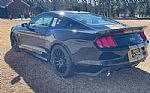 2016 Mustang Shelby Hertz Thumbnail 7