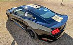2016 Mustang Shelby Hertz Thumbnail 5