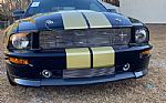 2007 Mustang Shelby GT Hertz Thumbnail 8