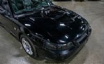 2004 Mustang GT Deluxe Thumbnail 12
