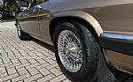 1987 XJ/SC Thumbnail 19