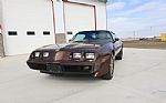 1979 Trans Am Thumbnail 24