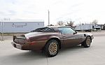 1979 Trans Am Thumbnail 26